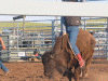 buff_rodeo_img.gif (132019 bytes)