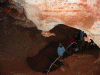 wind_cave_np_img.gif (129115 bytes)