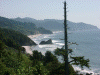 ORcoast.GIF (322892 bytes)