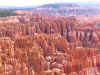bryce.jpg (510638 bytes)
