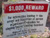 reward.jpg (485165 bytes)